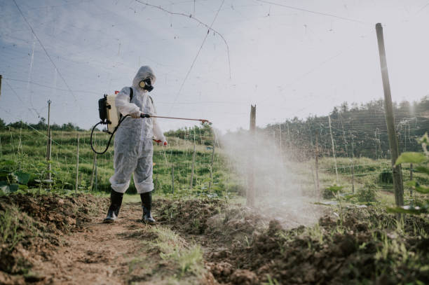 Best Best Pest Control Companies  in Piney Green, NC