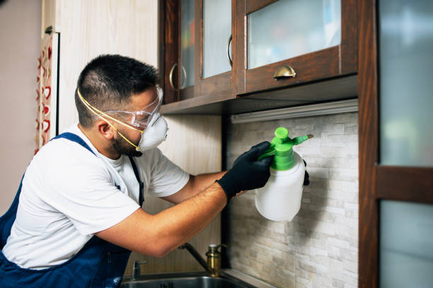 Best Best Pest Control Companies  in Piney Green, NC