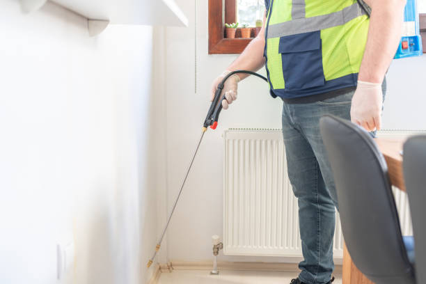 Best Emergency Pest Control  in Piney Green, NC