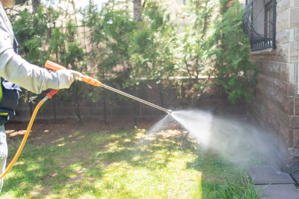 Best Flea Control Services  in Piney Green, NC