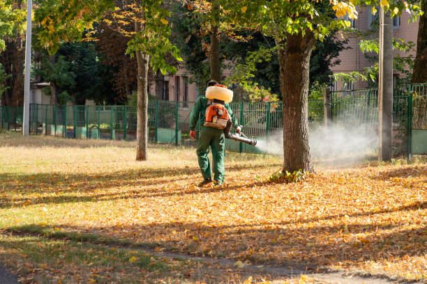 Best Commercial Pest Control Services  in Piney Green, NC