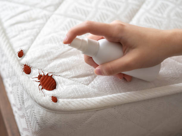 Pest Prevention Services in Piney Green, NC