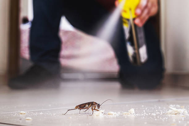 Best Cockroach Control Services  in Piney Green, NC