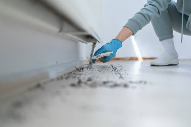 Best Best Pest Control Companies  in Piney Green, NC